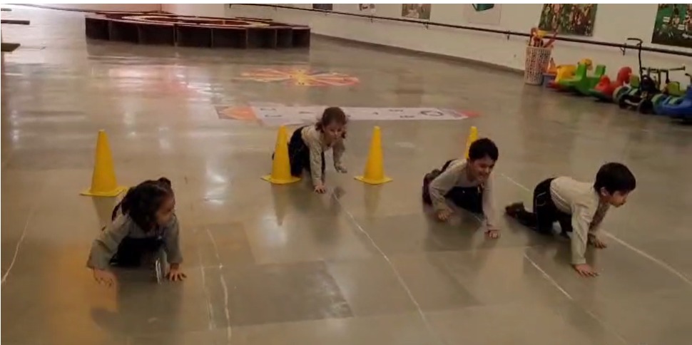 Crawling Critters Fun!